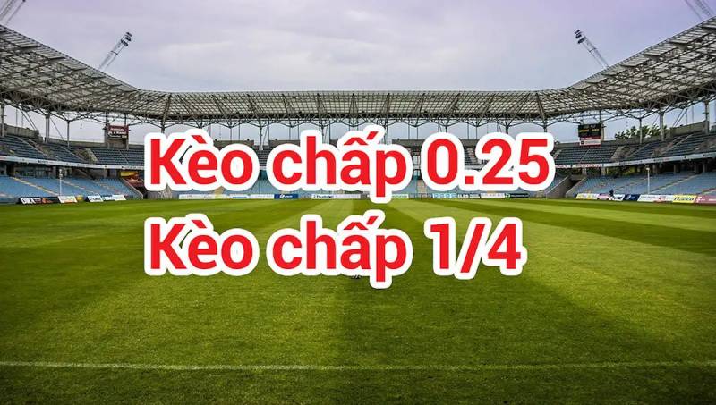 Kèo nhà cái Fund - Tỷ lệ kèo nhà cái 5 hôm nay keonhacai bóng đá trực tiếp 267 Kèo Chấp 1/4 Ăn Như Thế Nào? Có Nên Vào Tiền Kèo Này Không?